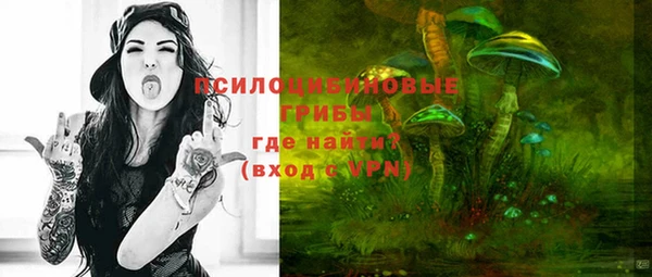твердый Волоколамск