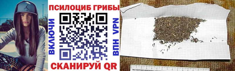 Галлюциногенные грибы мухоморы  дарнет шоп  сайты даркнета наркотические препараты  Верхняя Салда 